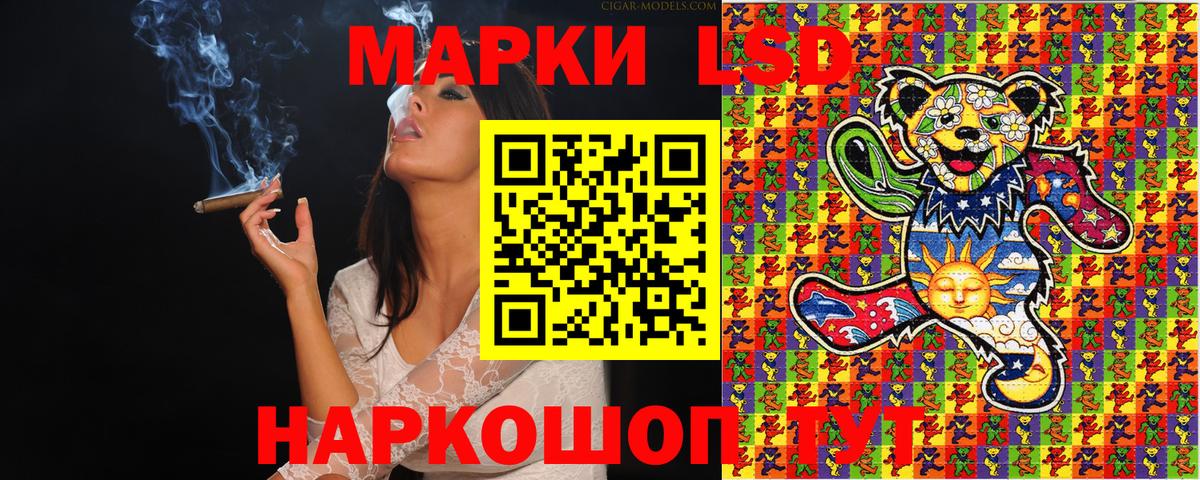 Бердск  Наркотические марки 1,5мг  Вход с VPN  Наркотические марки 1,5мг 
