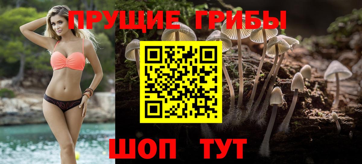 Псилоцибиновые грибы прущие грибы  Вход с VPN  Псилоцибиновые грибы мицелий  Бердск 